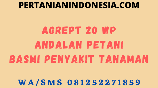 Agrept 20 WP Andalan Petani Basmi Penyakit Tanaman